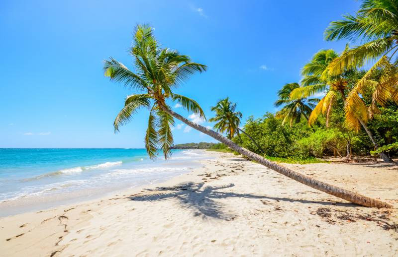 Déménageur Outre Mer pour une expatriation en Martinique