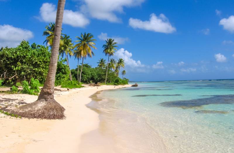 Entreprise de déménagement pour la Guadeloupe